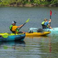 3 people in single kayaks paddling on a river